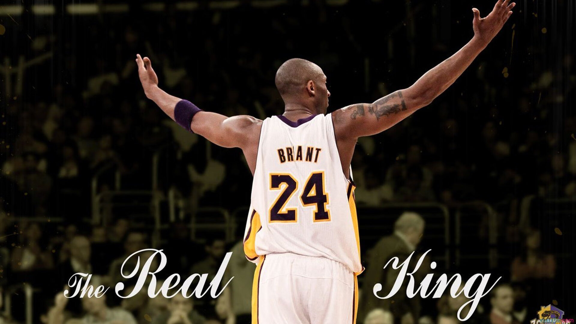 足球场馆智能化升级，提升比赛观赛体验，足球场管理与服务方案